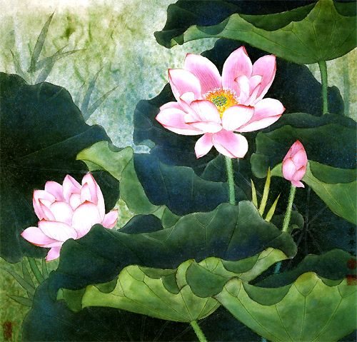 Tranh kính hoa sen TKS49